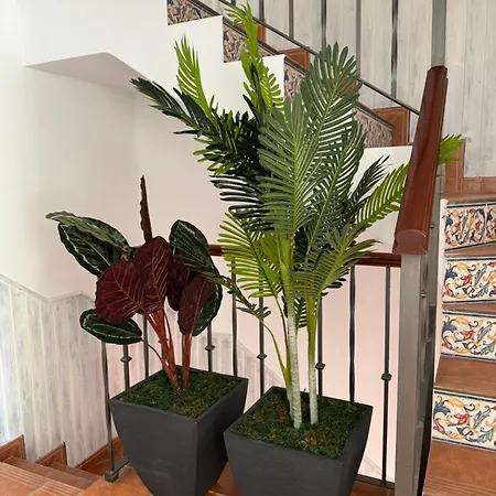 Casa Numero 8 Semesterbostad
